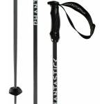 Völkl Phantastick