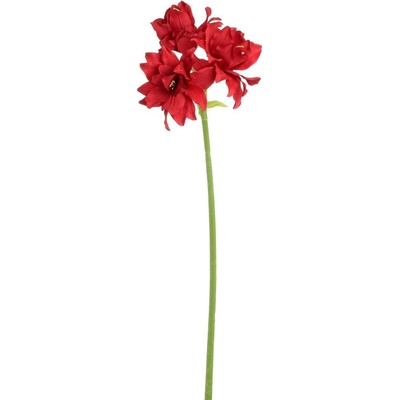 AMARYLIS ČERVENÝ 69CM