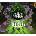 Hellcard