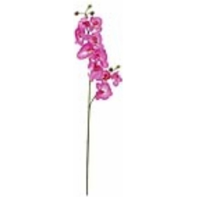 Orchidej větvička fialová, 100 cm