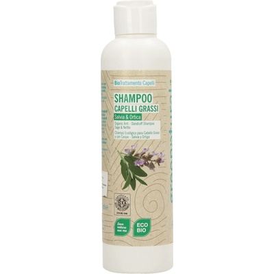 Greenatural Šampon pro mastné vlasy proti lupům šalvěj a kopřiva BIO 250 ml