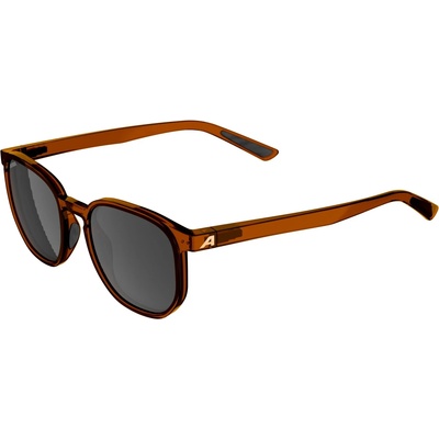 Alpina Слънчеви очила Alpina Dimont S3 Sunglasses - Brown Transparent Matt / Brown - размер One Size (205-6883-0211)
