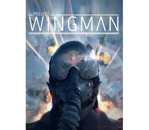 Project Wingman
