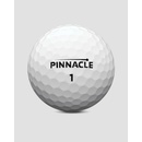 Pinnacle Soft