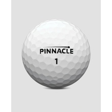 Pinnacle Soft