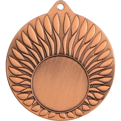 Univerzální kovová medaile Zlatá Stříbrná Bronzová Bronz 5 cm 2,5 cm – Zboží Dáma