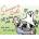Simon's Cat Off to the Vet . . . and Other Cat-Astrophes
