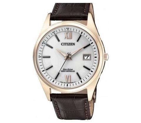 Citizen AS2053-11A