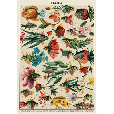 Grafika Ryby 1000 dielov
