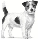 Granule pre psov Royal Canin Vet Care Adult Small 4 kg