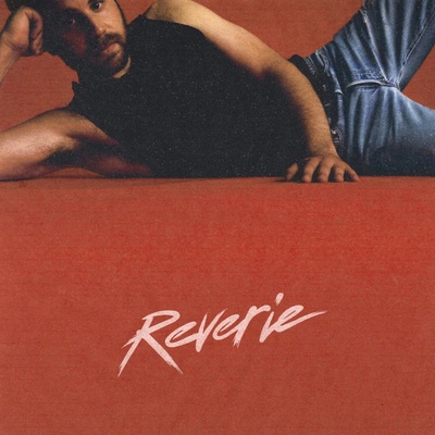 Platt Ben - Reverie Vinyl LP