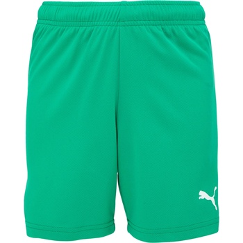 PUMA Teamrise short jr 176