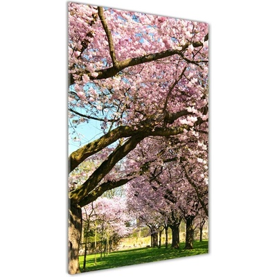 Vertikálny foto obraz sklo tvrdené Višne 50x100 cm