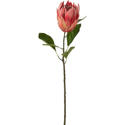 Umělá květina J-line Proteas 67 cm