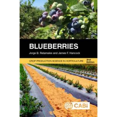 Blueberries | Jorge Retamales