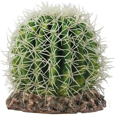 Hobby Kaktus Sonora M 15x15x13 cm