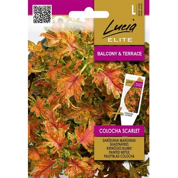 Seklos Колеус Colocha Scarlet