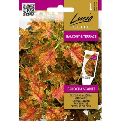 Seklos Колеус Colocha Scarlet