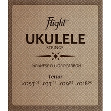 Flight FUST-100