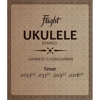 Flight FUST-100
