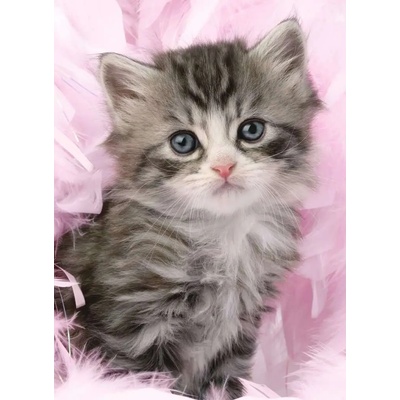 Ravensburger - Puzzle Cute kitten - 500 piese