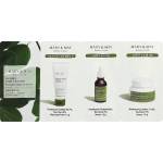 Mary & May Houttuynia Cordata Tea Tree Line Sachet (Cleansing Foam 1.5г + Serum 1.5г + Blemish Cream 1.5г) (sample) - Примерен комплект за проблемна кожа 4.5г
