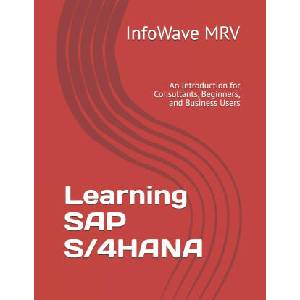 Learning SAP S/4HANA | InfoWave MRV (2024)