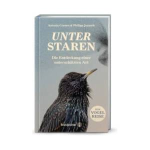 Unter Staren | Philipp Juranek (ISBN: 9783710608568)