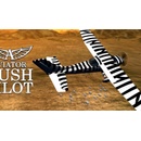 Aviator - Bush Pilot