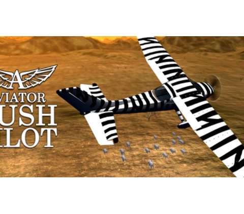 Aviator - Bush Pilot