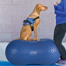 FitPAWS Balanční plošina pro domácí mazlíčky Trax Peanut 50 cm