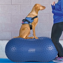 FitPAWS Balanční plošina pro domácí mazlíčky Trax Peanut 50 cm