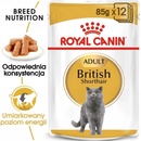 Royal Canin Cat British Shorthair 12 x 85 g