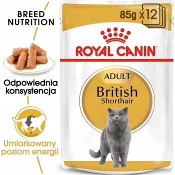 Royal Canin Cat British Shorthair 12 x 85 g