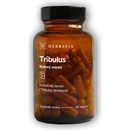 Herbavia Tribulus kotvičník bylinný extrakt 60 kapslí