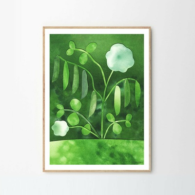 Moikka Plagát Peas in Bloom by Anna Ravn Bjørn 70x100