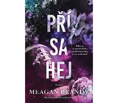 Přísahej - Meagan Brandy