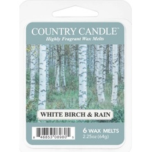 Country Candle White Birch & Rain vosk do aromalampy 64 g