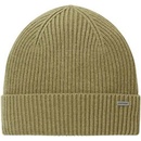 Tom Tailor čiapka pánska 1032851/11279 Zelená