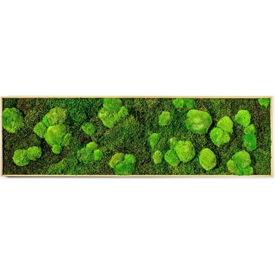 Gardners Mechový obraz 140x40 cm kombinovaný mech kopečkový s plochým, přírodní