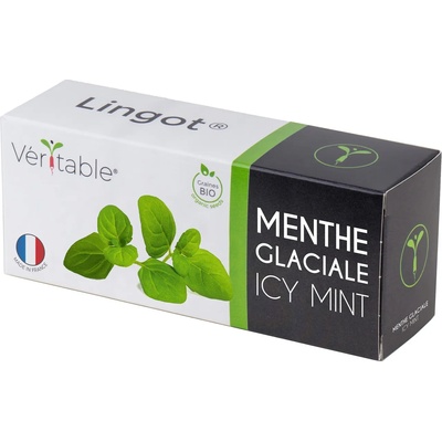 veritable Семена 'Ледена Мента' VERITABLE Lingot® Icy Mint Organic (VLIN-A10-Men04B)