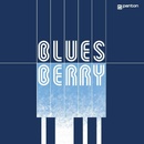 Bluesberry - Bluesberry CD