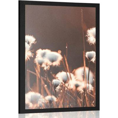 Plakát bavlněná tráva - 40x60 no frame