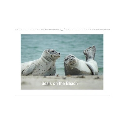 Calvendo Seals on the Beach (Wall Calendar 2026 DIN A3 landscape), CALVENDO 12 Month Wall Calendar | Calvendo, Martina Fornal
