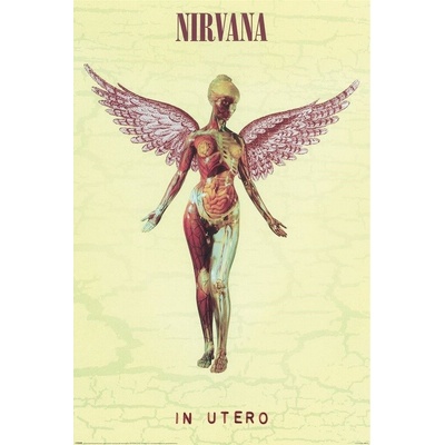 Plakát, Obraz - Nirvana - In Utero, 61 × 91.5 cm