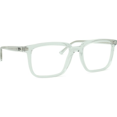 Ray Ban RX7239 2001