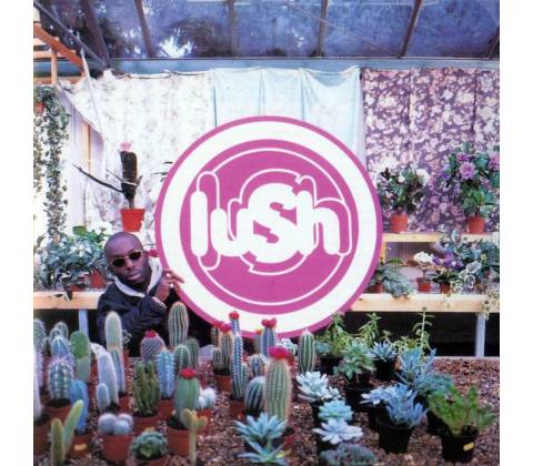 Lovelife - Lush LP