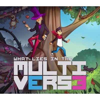 What Lies in the Multiverse