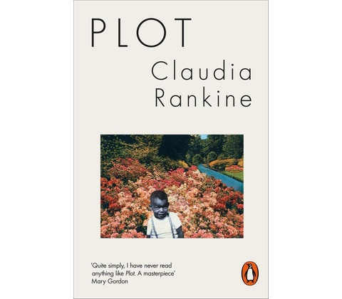 Plot