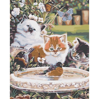 Zuty Malování podle čísel Koťata a ptáčci 80 x 100 cm vypnuté plátno na rám